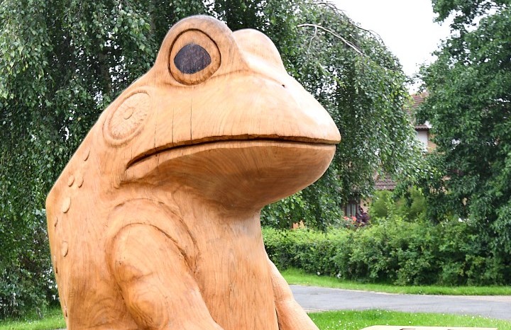 Gyosei Art Trail Frog Sculpture